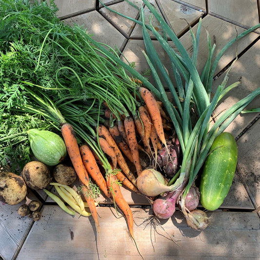 Fresh garden vegetables