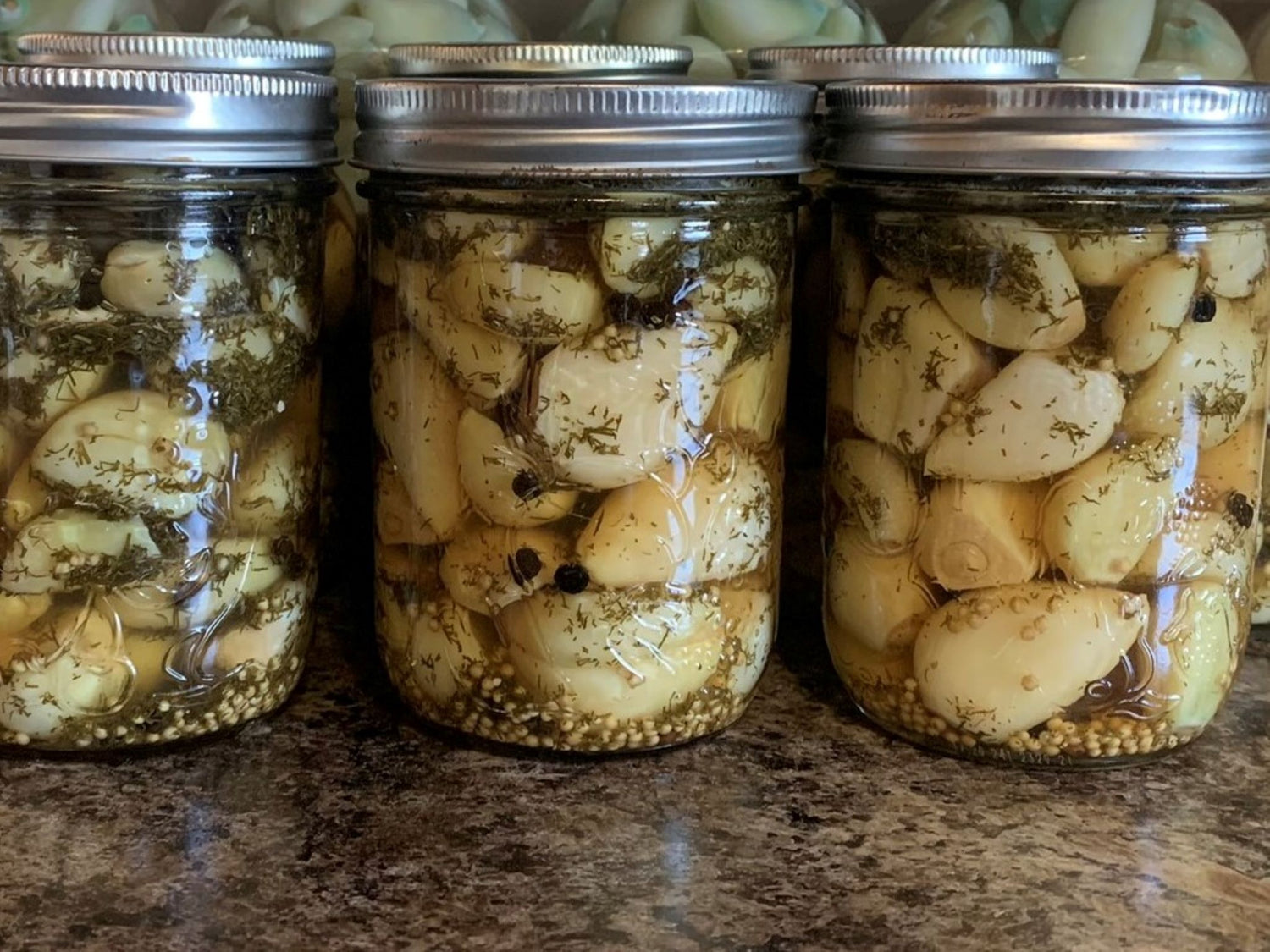 Dill pickled garlic