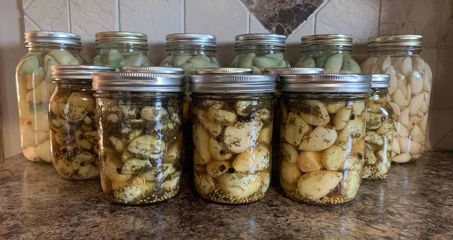 how to preserve garlic 