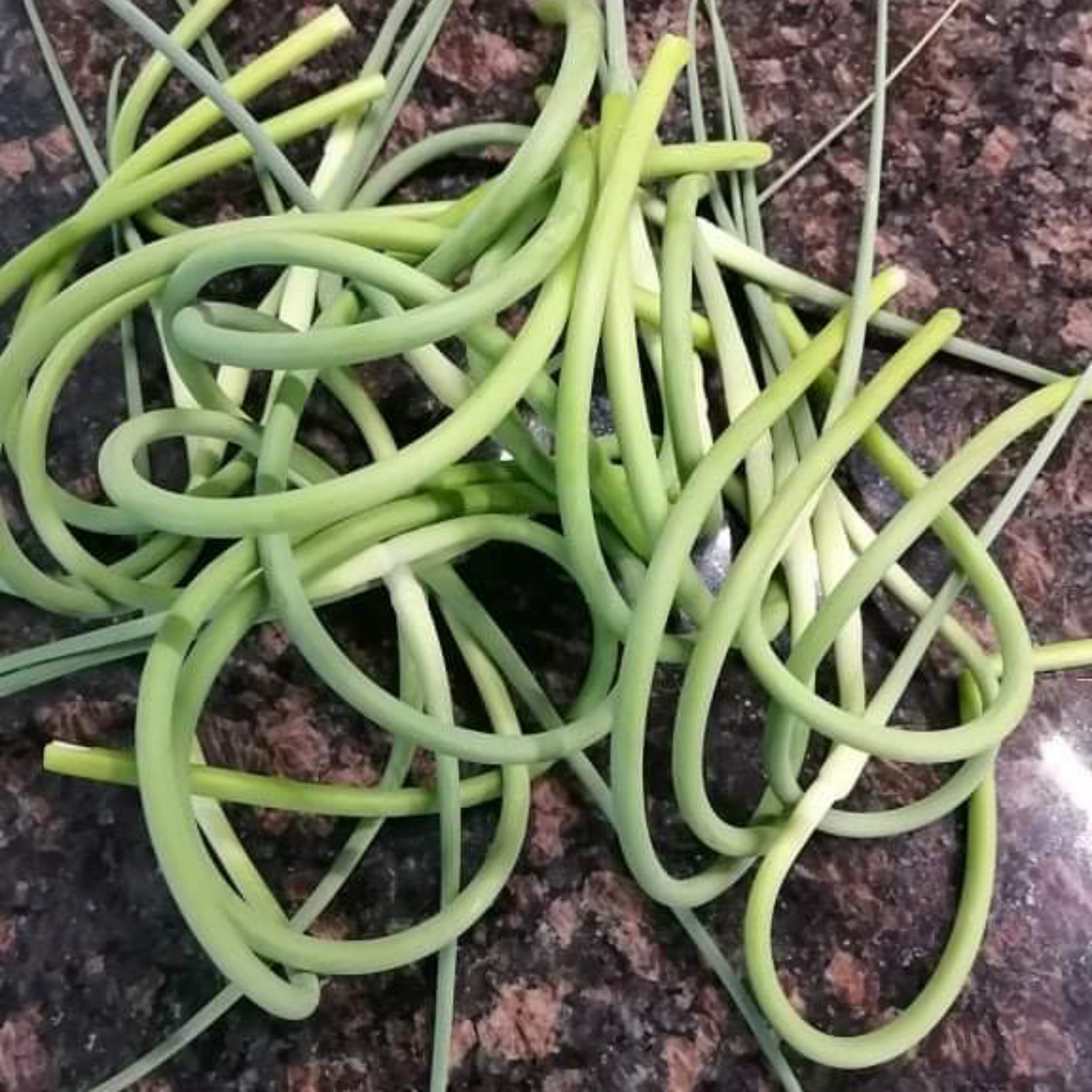 Garlic Scapes 5lbs - Count Von Garlic